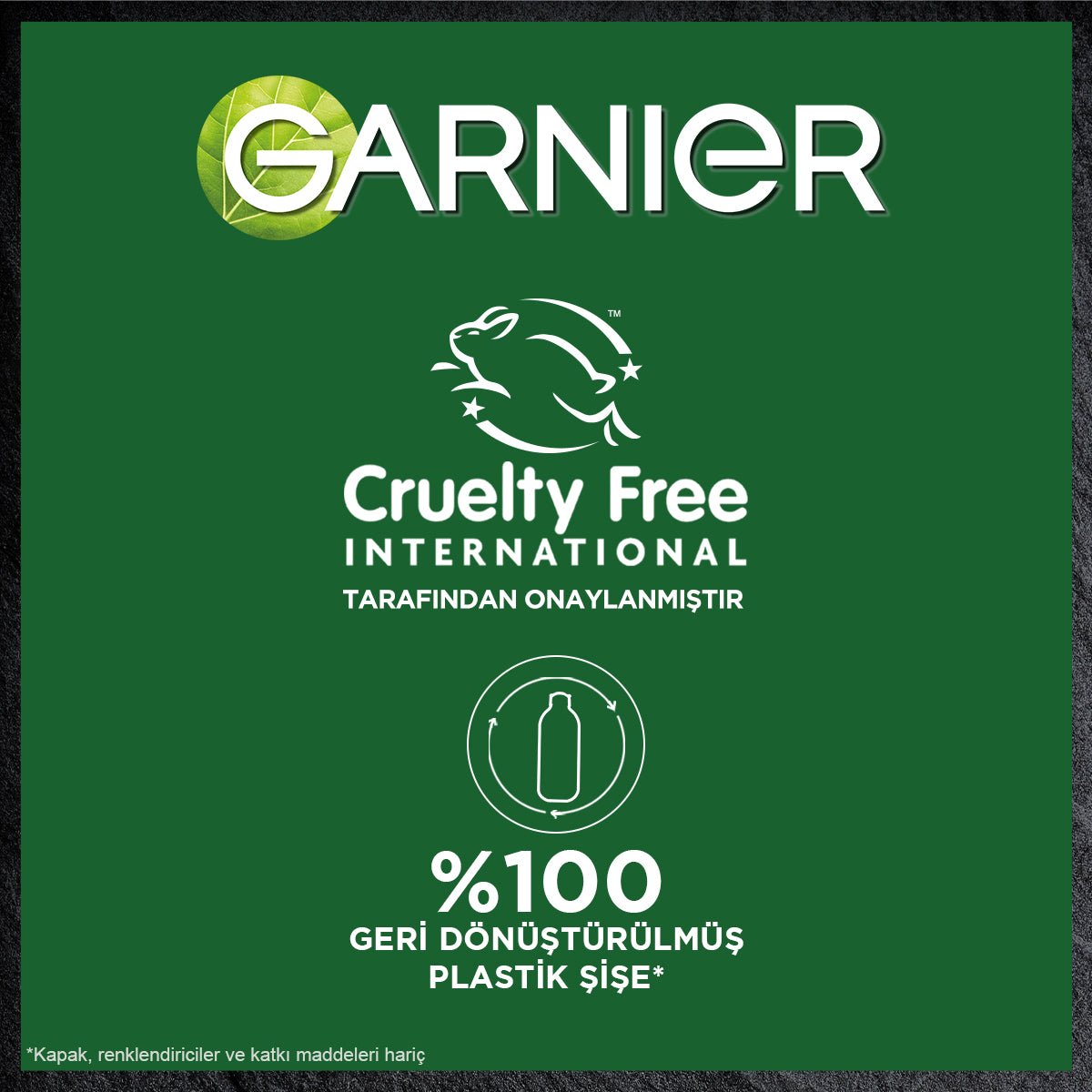Garnier Micellar Kömür Kusursuz Makyaj Temizleyici Jel 400 ml - Melori