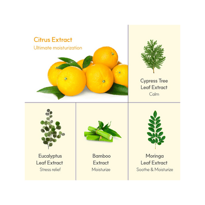 Frudia Citrus Brightening Micro Cleanser 145 ml