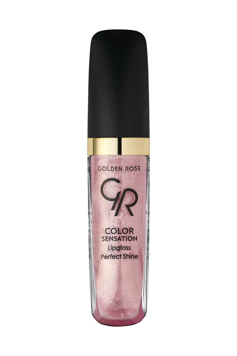 Golden Rose Color Sensation Lipgloss - 102 Nude Pink