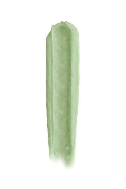 Pastel Pastellab. Lip Renewal Fresh Mint Scrub 4.5g