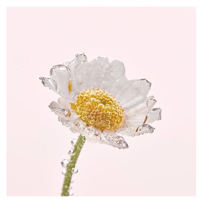 Yves Rocher Pure Camomile Face Wash Make-up Cleansing Oil 150 ml