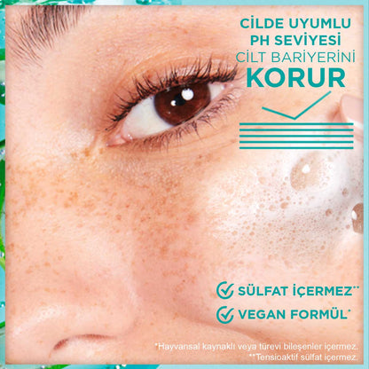 Garnier Hyaluronik Aloe Nemlendiren ve Yatıştıran Temizleyici 250 ml - Melori